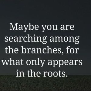 Meet your Posher, Latasha